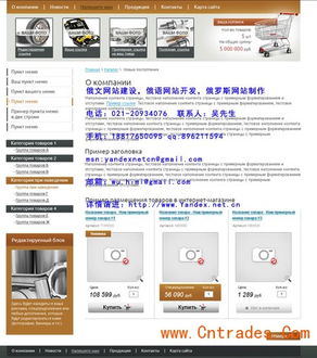 臨夏專業(yè)俄文網(wǎng)站建設(shè)與開(kāi)發(fā)指南