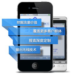 專業(yè)網(wǎng)站建設(shè)代理服務(wù) 手機(jī)網(wǎng)站與微信網(wǎng)站一站式解決方案